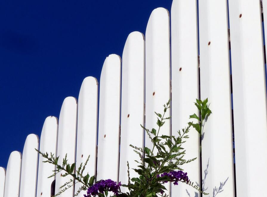 Weißer Holzzaun als Sichtschutz vor blauen Himmel mit Pflanze